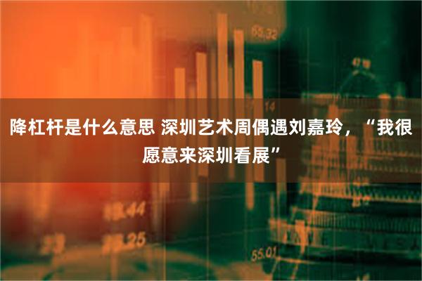 降杠杆是什么意思 深圳艺术周偶遇刘嘉玲，“我很愿意来深圳看展”