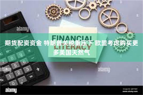 期货配资资金 特朗普关税重压下 欧盟考虑购买更多美国天然气
