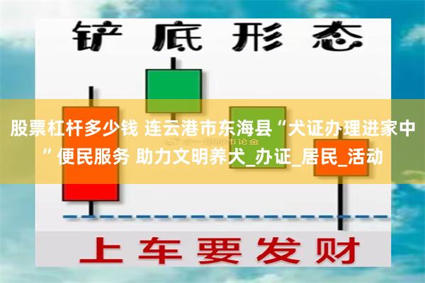 股票杠杆多少钱 连云港市东海县“犬证办理进家中”便民服务 助力文明养犬_办证_居民_活动