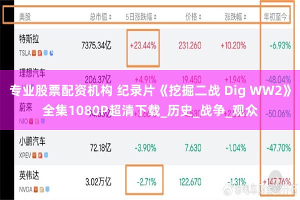 专业股票配资机构 纪录片《挖掘二战 Dig WW2》全集1080P超清下载_历史_战争_观众