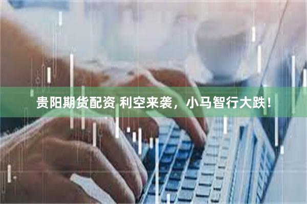 贵阳期货配资 利空来袭，小马智行大跌！