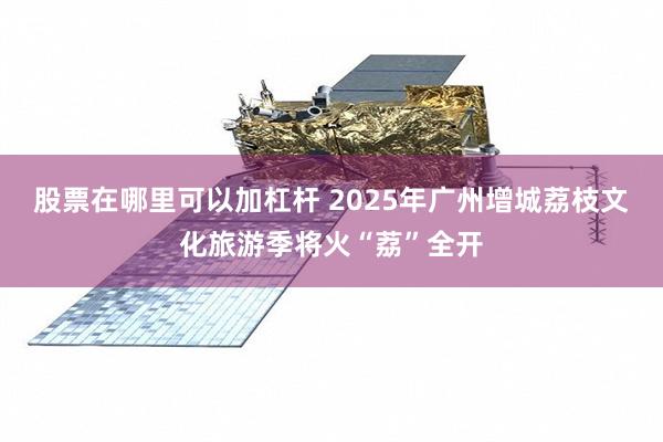 股票在哪里可以加杠杆 2025年广州增城荔枝文化旅游季将火“荔”全开