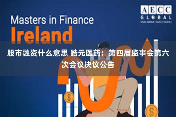 股市融资什么意思 皓元医药：第四届监事会第六次会议决议公告