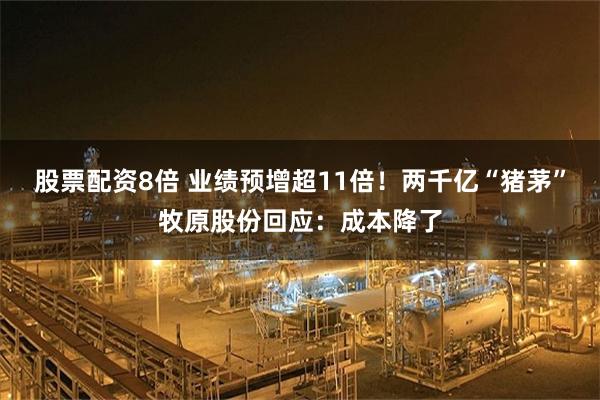 股票配资8倍 业绩预增超11倍！两千亿“猪茅”牧原股份回应：成本降了