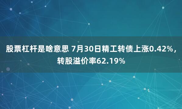股票杠杆是啥意思 7月30日精工转债上涨0.42%，转股溢价率62.19%