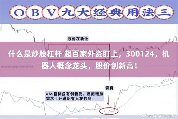 什么是炒股杠杆 超百家外资盯上，300124，机器人概念龙头，股价创新高！