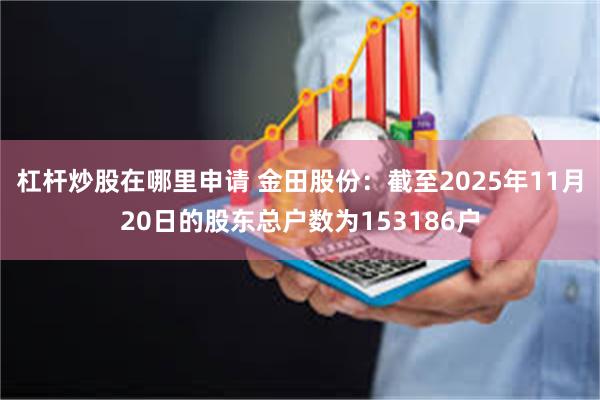 杠杆炒股在哪里申请 金田股份：截至2025年11月20日的股东总户数为153186户