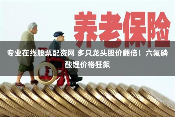 专业在线股票配资网 多只龙头股价翻倍！六氟磷酸锂价格狂飙