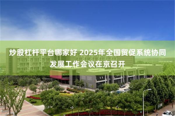 炒股杠杆平台哪家好 2025年全国贸促系统协同发展工作会议在京召开