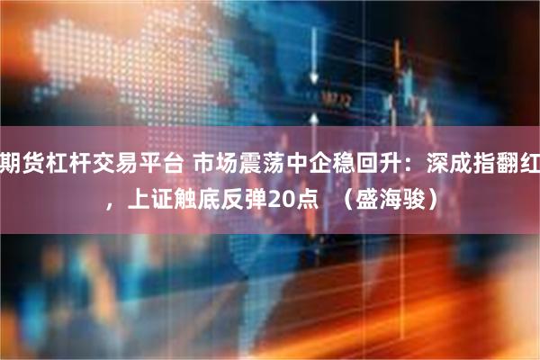期货杠杆交易平台 市场震荡中企稳回升:深成指翻红,上证触底反弹20点 (盛海骏)
